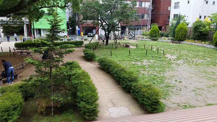 f:id:hitomishiriman:20170524223243j:plain f:id:hitomishiriman:20170524223243j:plain