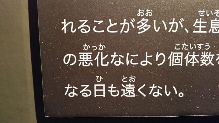 f:id:hitomishiriman:20170608233518j:plain