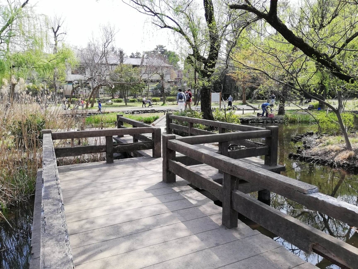 『石神井公園』の三宝寺池近くの園内写真