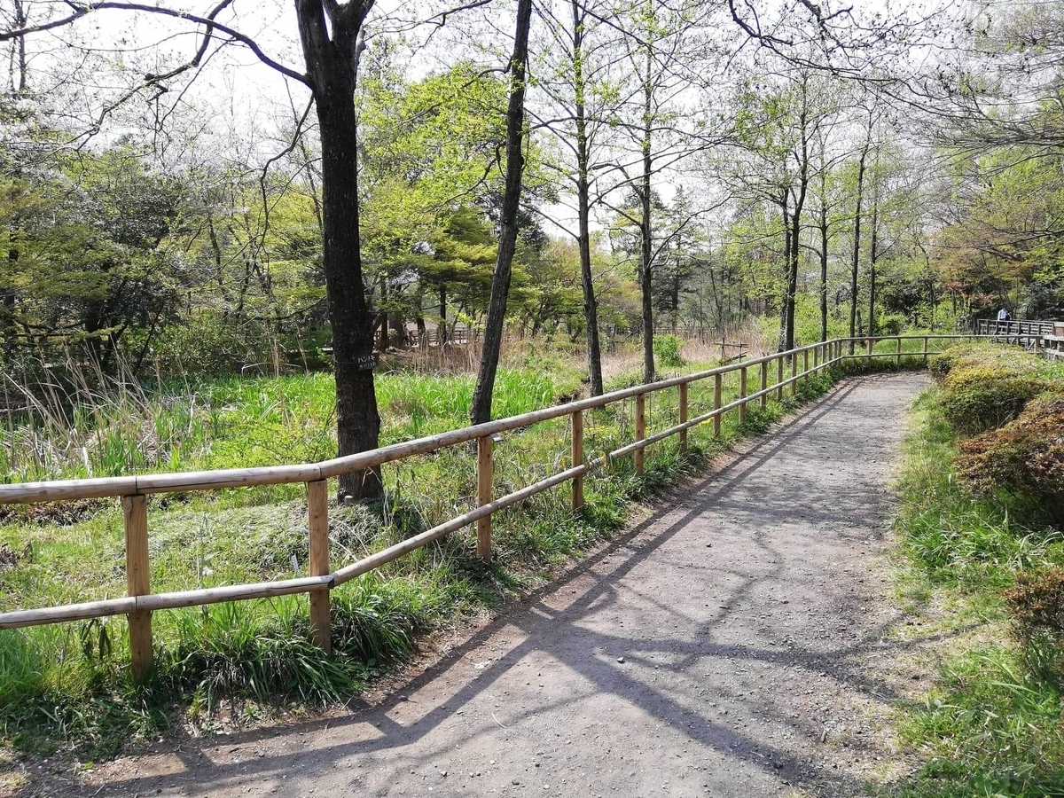 『石神井公園』の三宝寺池沿いにある歩道の写真