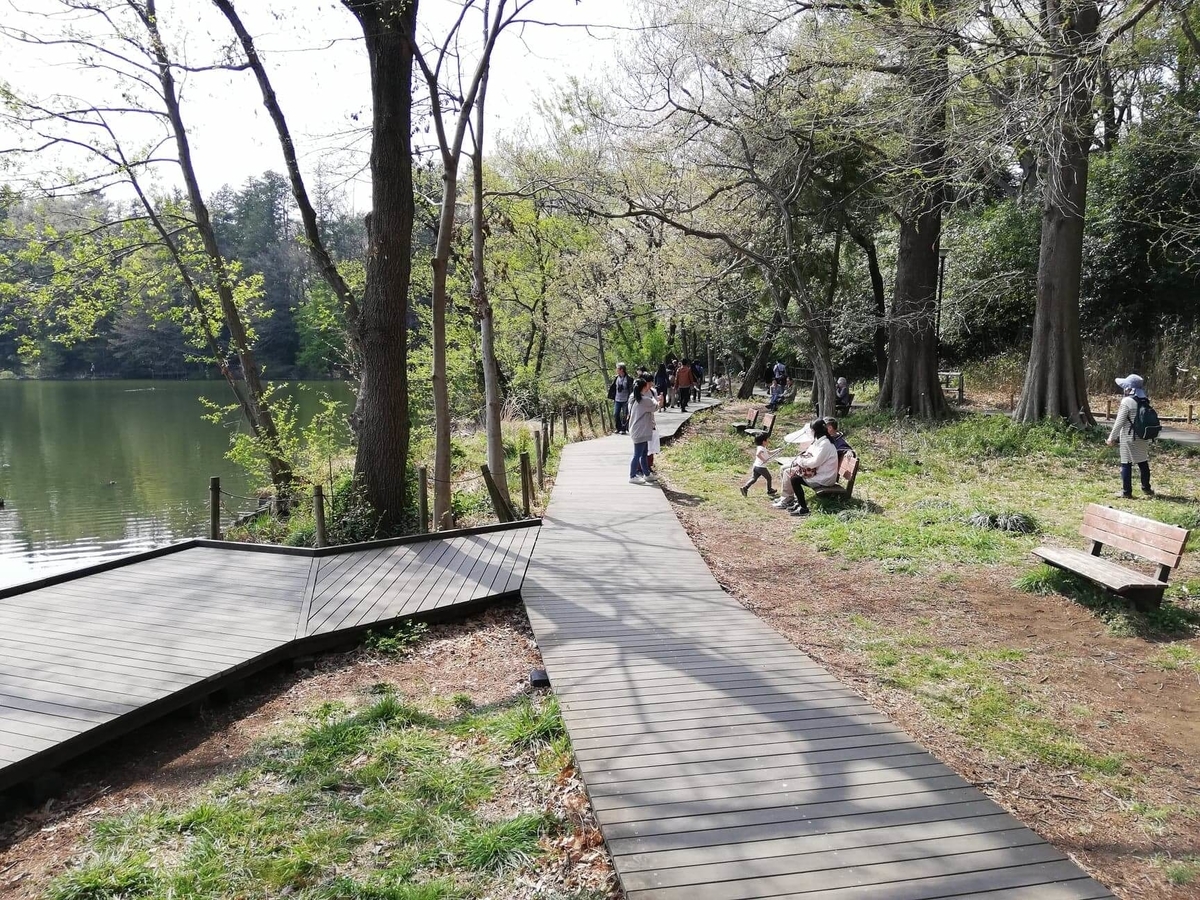 『石神井公園』の三宝寺池沿いの写真