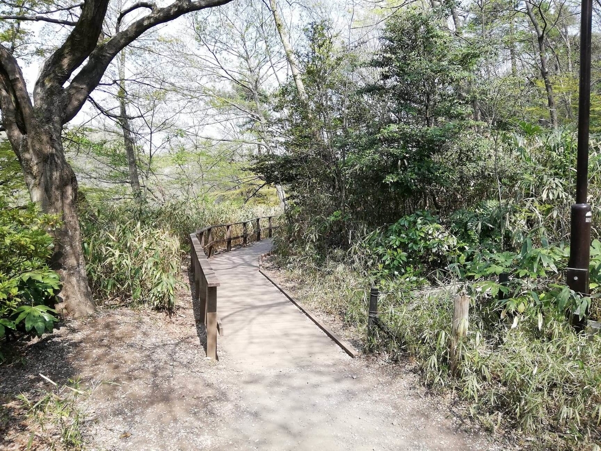 『石神井公園』の三宝寺池園内の写真