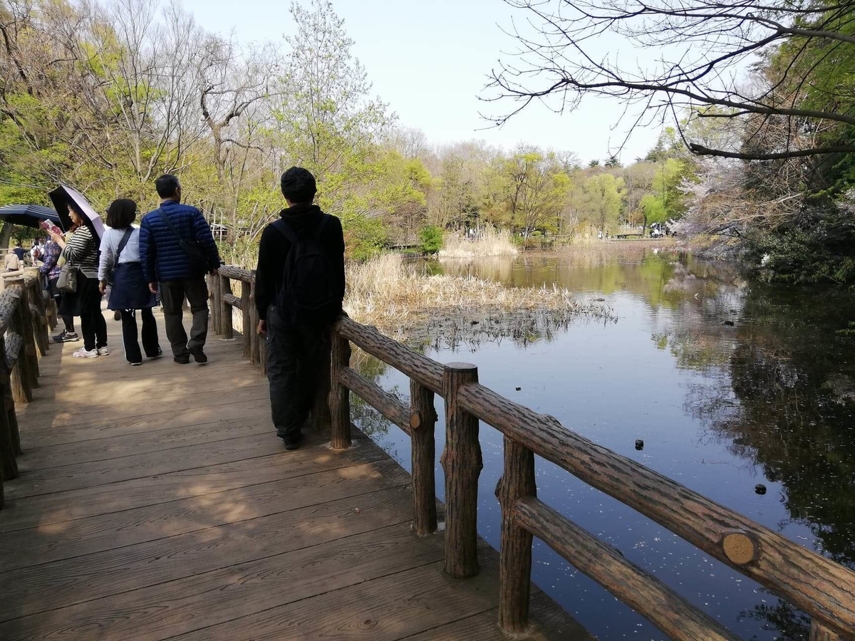 『石神井公園』の三宝寺池にかかる橋の写真