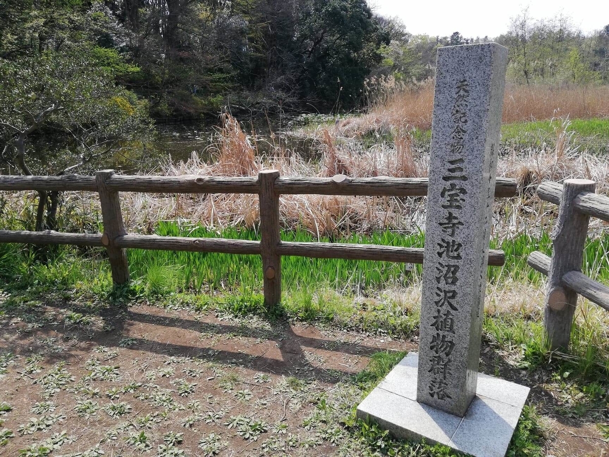 『石神井公園』の三宝寺池沿いの園内の写真