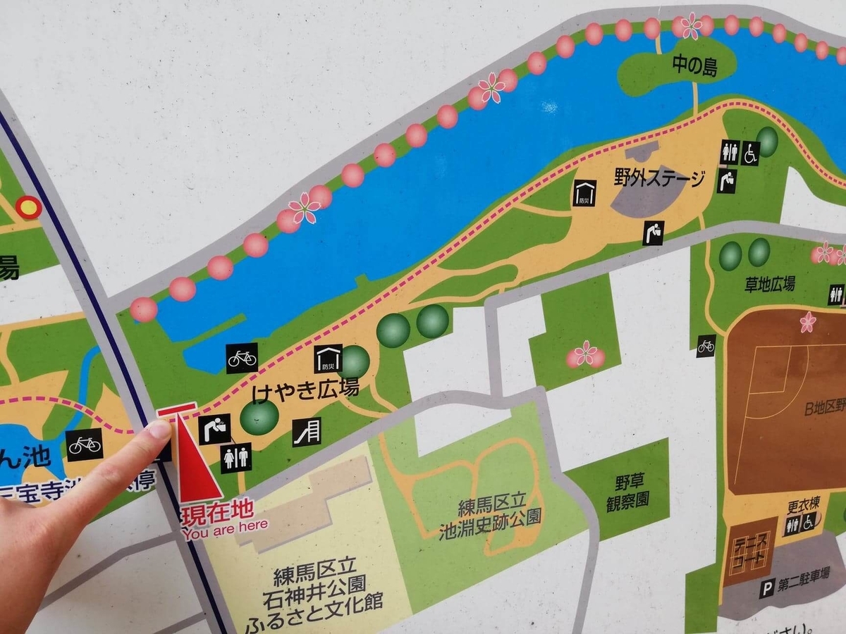 『石神井公園』の園内マップ写真