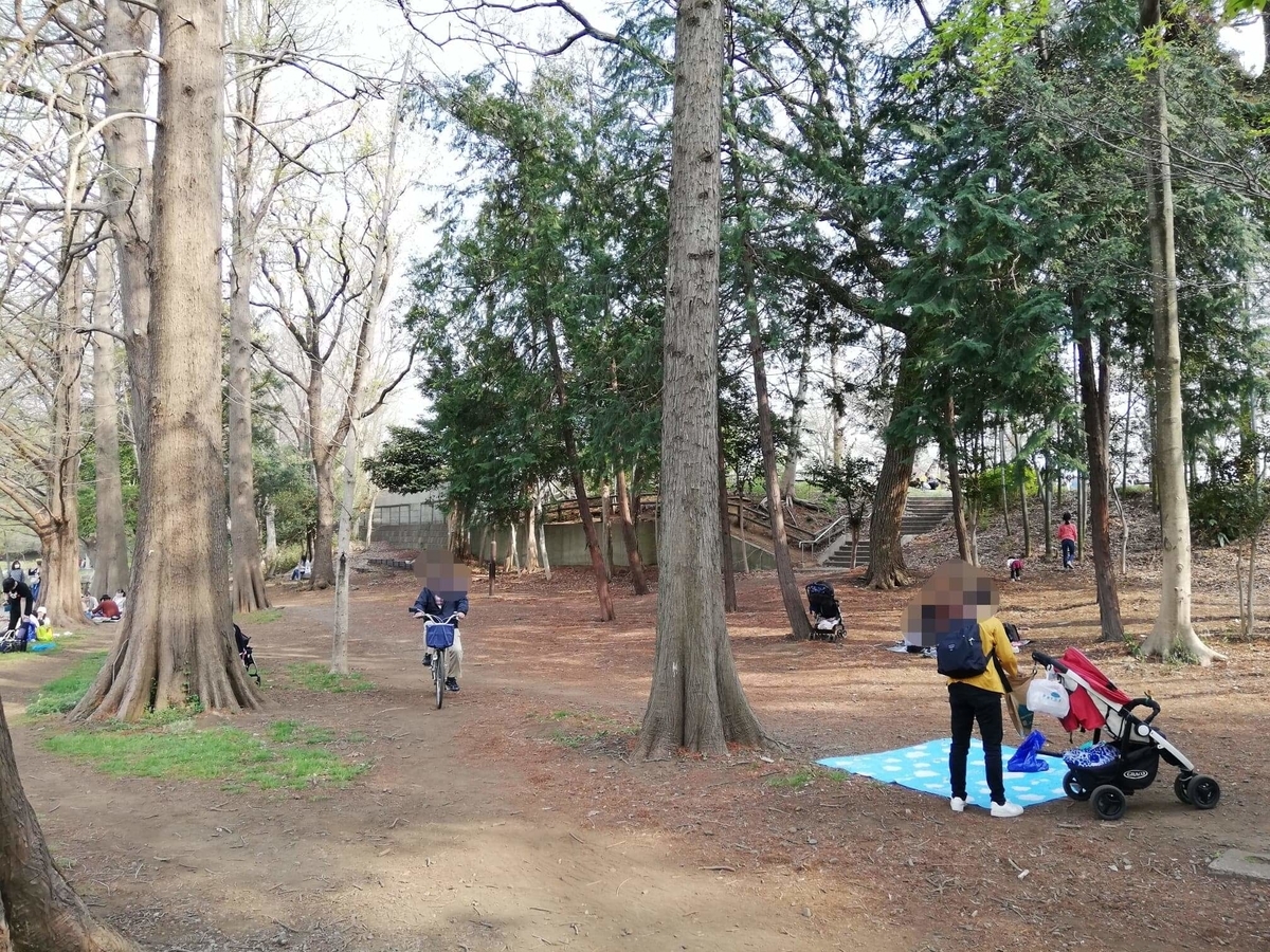 『石神井公園』の石神井池沿いにある林の写真