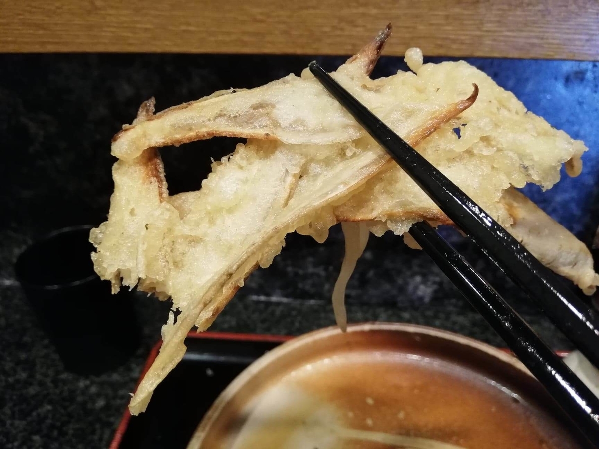 高田馬場『大地のうどん』のごぼうおろしぶっかけのごぼう天ぷらを、箸で掴んでいる写真