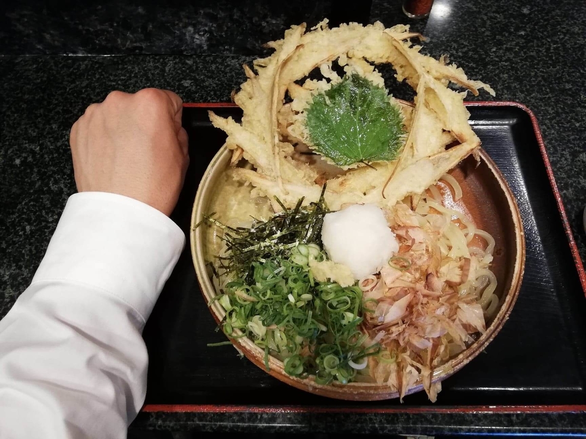 高田馬場『大地のうどん』のごぼうおろしぶっかけと拳のサイズ比較写真