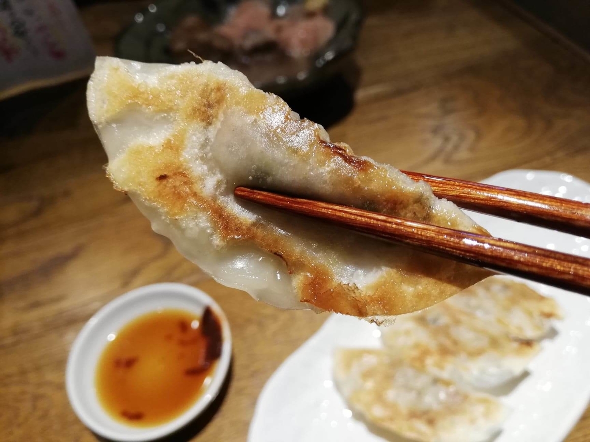 香川県高松市『瀬戸内豚料理紅い豚』の瓦町餃子を箸で掴んでいる写真