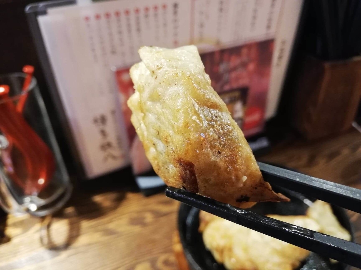 長野県松本市『松本つなぐ横丁』内の『博多鉄八』の博多鉄鍋餃子を箸で掴んでいる写真