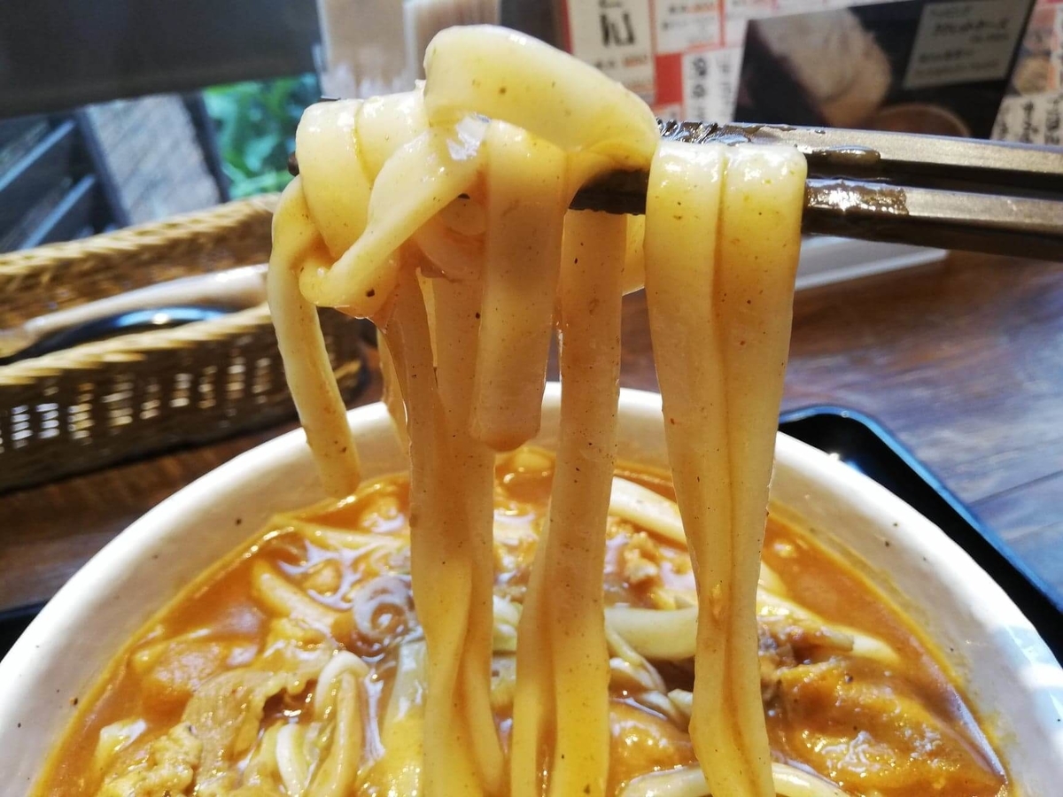 池袋『カレーうどん ひかり TOKYO』のひかりカレーうどんの麺の写真
