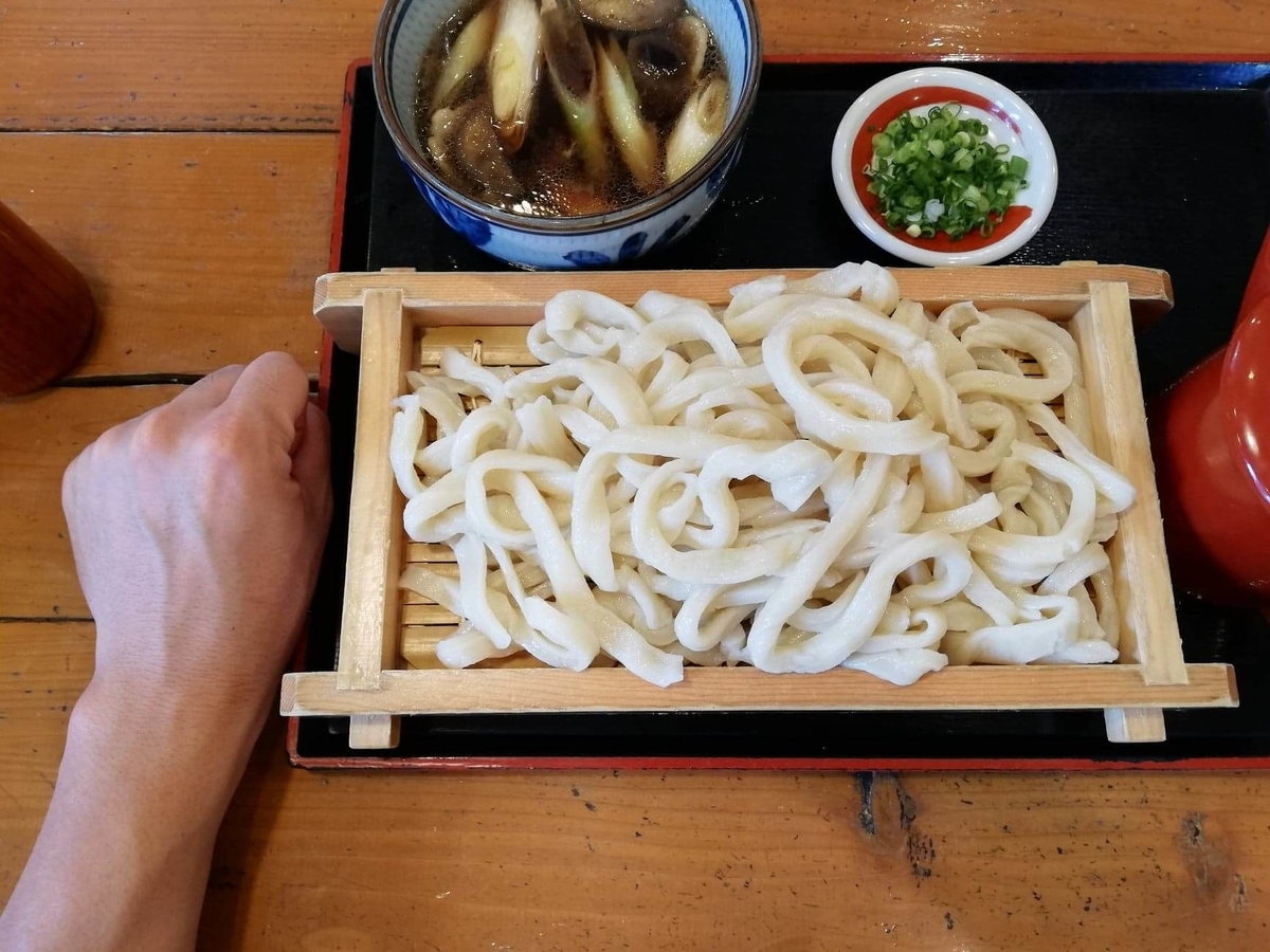 池袋『うちたて家』の鴨汁うどんと拳のサイズ比較写真 