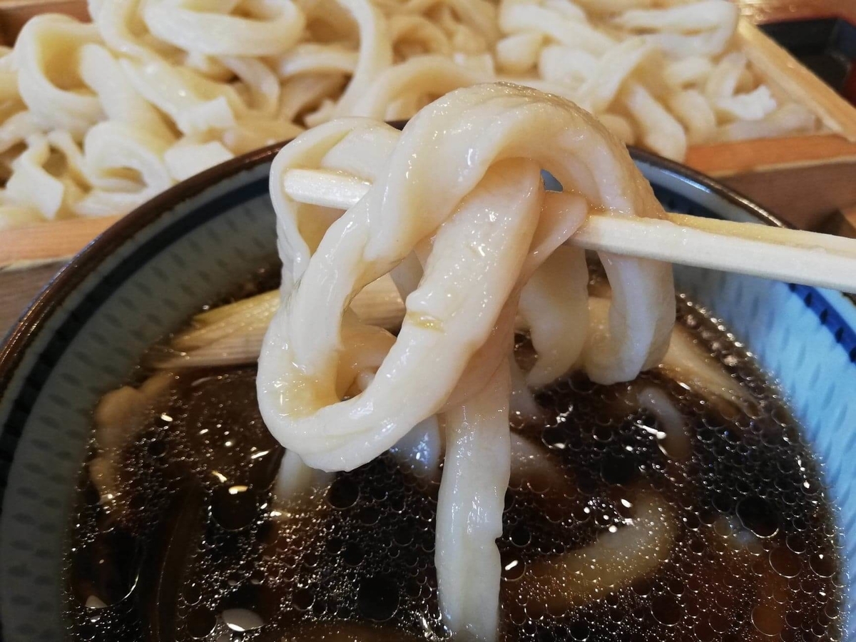 池袋『うちたて家』の麺を箸で掴んでいる写真 