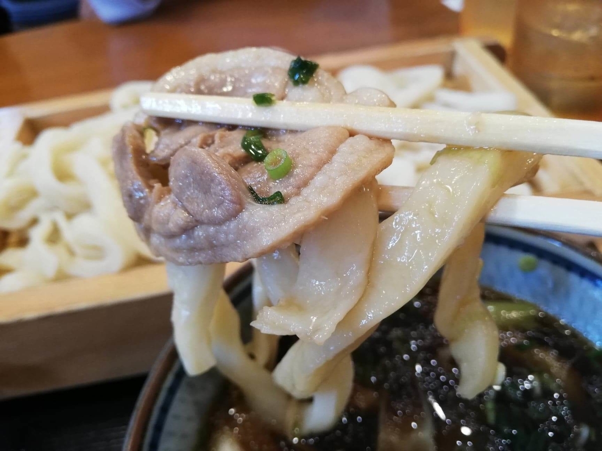 池袋『うちたて家』の麺を箸で掴んでいる写真 