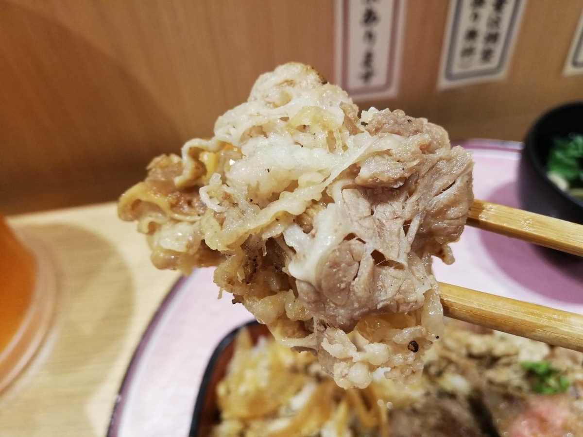 大阪『ビフテキ重・肉飯 ロマン亭』の肉飯を箸で掴んでいる写真