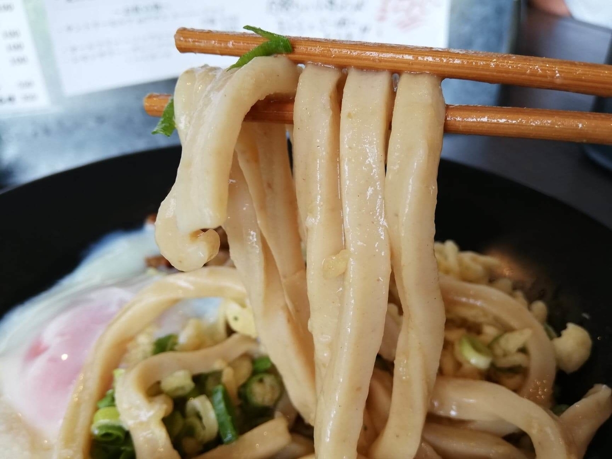 武蔵浦和(北戸田)『武蔵野うどん澤村』の牛とろぶっかけの麺のアップ写真