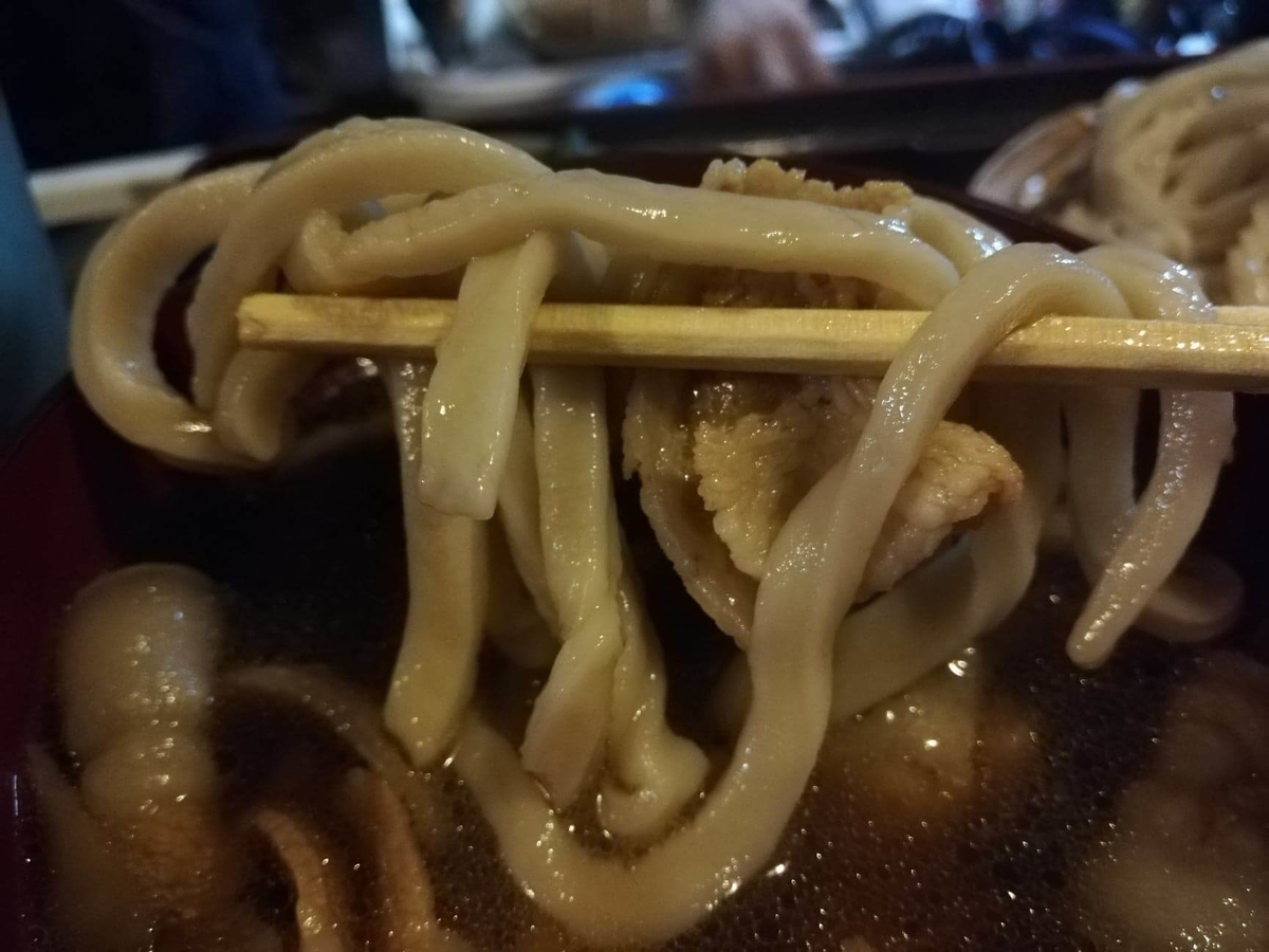 新座（保谷駅）『うどんや藤』の肉うどんの麺のアップ写真