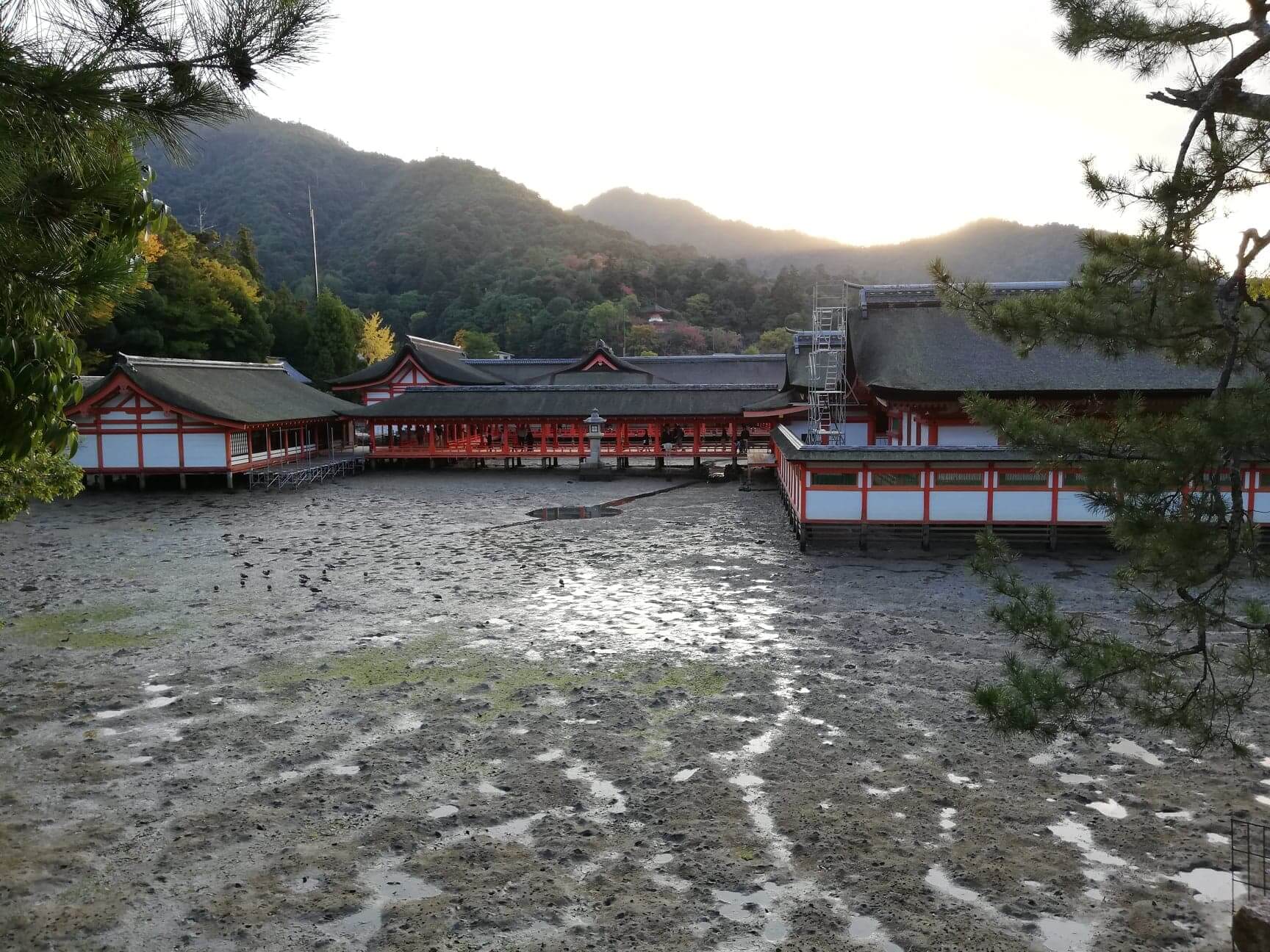 広島県の宮島の風景写真