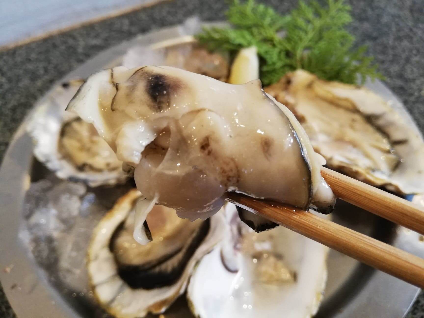 広島県宮島『牡蠣屋』の生牡蠣を箸で掴んだ写真